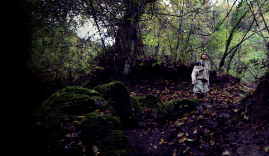 Fantasticherie di un passeggiatore solitario di Paolo Gaudio