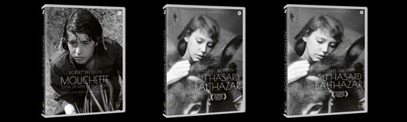 La promozione è valida fino all'8 Dicembre.