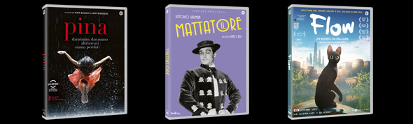 La promozione è valida fino all'8 Dicembre.