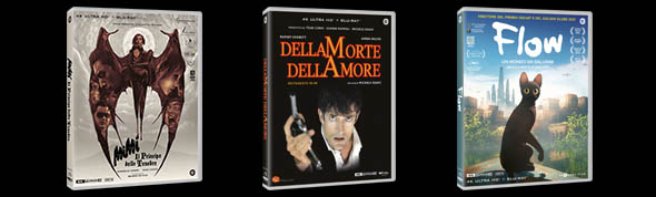 La promozione è valida fino al 10 Febbraio.