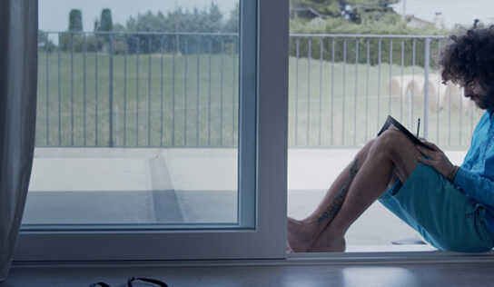 Ora in streaming The Good Influencer