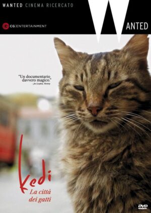 Kedi - La città dei gatti