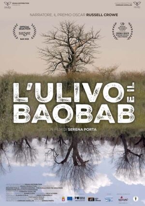 L'ulivo e il baobab