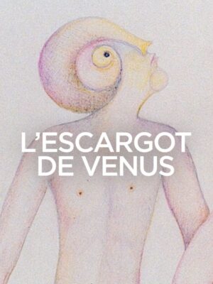 L'Escargot De Venus